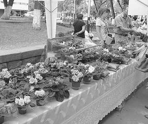 Інтернетмагазин квітів і рослин ”Флора Сад” постійно бере участь у виставках