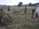 Вчили молодь орати, сіяти і заволочувати старожили Обирка