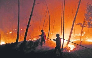 Пожежники намагаються погасити вогонь у лісі в районі Рібейра-ду-Фарріу, поблизу міста Оурен у центральній Португалії. У вівторок лісові пожежі мали щонайменше 10 крупних осередків, за даними цивільної оборони. Від вогню загинула одна людина і троє дістали опіки