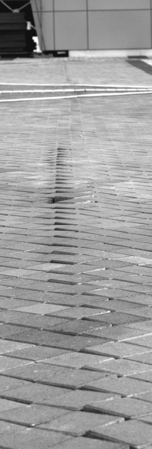 Тротуарна плитка навколо столичного стадіону ”Олімпійський” у кількох місцях розійшлася і повипадала. Перехожі через неї часто спотикаються