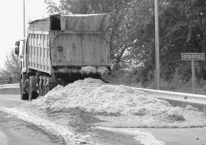 Відходи з птахофабрики висипалися на дорогу за селом Гореничі Києво-Святошинського району Київщини. За останній місяць тут утретє ламаються вантажівки цього перевізника