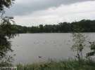 озером Дутцендтайх навіть у негоду мирно плавають качки