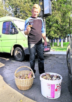 Киянин Володимир Краснопольський показує маслюки на столичній площі Шевченка. Каже, що грибів цього року вродило дуже багато