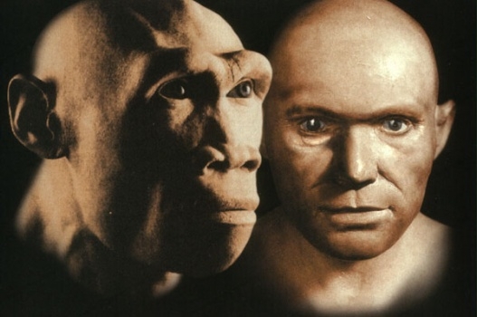 Вид, прозваний вченими Homo altaiensis населяв планету близько 40 тисяч років тому і його ареали проживання частково перетиналися з середовищем існування неандертальців і сучасних людей