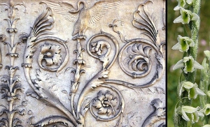 На алтаре, возведенном Августом в 9 г. н. е., одно из первых задокументированных изображений орхидей в римском искусстве