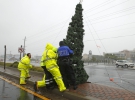 Работники коммунальных служб пытаются удержать елку