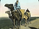 В то время, как верблюды на этой фотографии выглядят вполне счастливыми и улыбаются для камеры, их всадники выглядят не так благополучно. Двое мужчин, показанные здесь - арабы на пути в Саккаре - южнее Каира. Их вид транспорта, верблюд, - использовался в Египте на протяжении веков