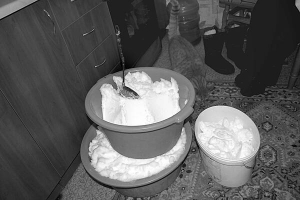 Кіт проходить біля двох 20-літрових тазів та відра зі снігом у квартирі хмельничанки Раїси Рожкової. Сніг вона топитиме і воду використовуватиме як технічну
