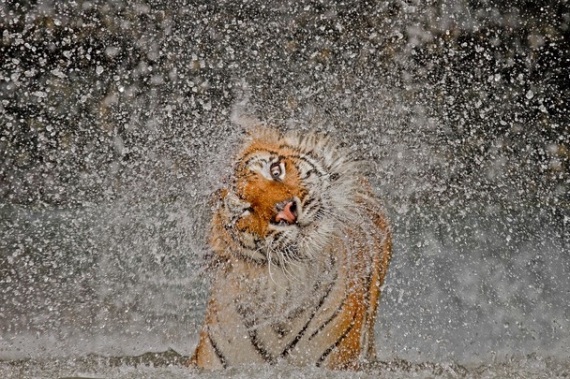 Photo and caption by Ashley Vincent