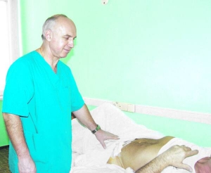 Професор Ярослав Фелештинський оглядає пацієнта після операції. На місці пахвинної грижі вживив сітку для зміцнення живота