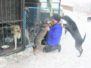 Оксана Кучма грається із собаками під час роздачі обідів у Вінницькому притулку ”Планета”. Десяток псів мають клички. Вони — улюбленці доглядальників