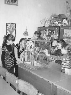 Вихованки Новосанжарського районного будинку дитячої та юнацької творчості годують папуг, яких виростили юні натуралісти. Гуртківці піклуються про 25 птахів