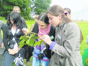 Студентки аграрного університету розглядають сою на фермерському полі у Німеччині