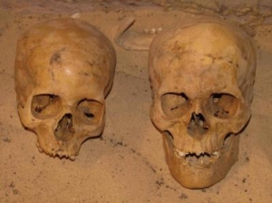 Череп слева принадлежит по отдельным характеристикам к почти средиземноморской (белой) расе, а череп справа — явно от крепкого негроидного человека из нубийского племени (ок. 1750 до н.э.)