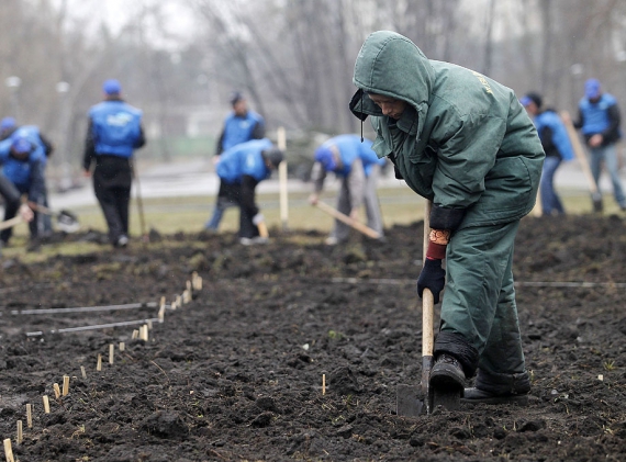 На фото чітко видно, як у Києві пораються люди із партійною символікою Партії регіонів