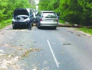 Дерево впало на ”мітцубісі” та ”сітроєн”, коли вони минали одне одного