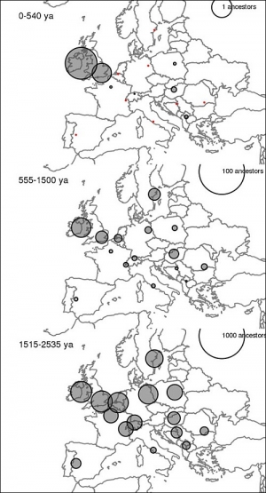 Наш сучасник з Великобританії має спільних предків з усіма європейцями. На картах показано місце проживання цих самих предків у різні історичні епохи. (Зображення авторів роботи)