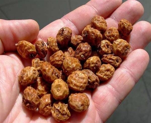 Земляні горіхи виростають завбільшки з 10 копійок. За смаком нагадують солодкий мигдаль
