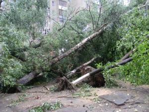 28 червня о 19.00 у Вінниці на вулиці Островського, 31 сильний вітер викорчував шість дерев. Вони впали на дитячий майданчик і поламали дві лавки. Обірвали електродріт. Світла не було до ранку у двох п’ятиповерхівках