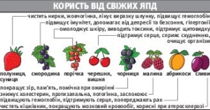 Малина налаштовує на інтим
Британський науковець Патрік Холфорд виявив, що полуниця й малина найкраще заохочують до сексу. Їх зернятка насичені цинком — елементом, який сприяє сексуальному збудженню. Це впливає на гормони. Полуниця та малина також багаті на антиоксиданти, які збільшують приплив крові до статевих органів