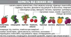 Малина налаштовує на інтим
Британський науковець Патрік Холфорд виявив, що полуниця й малина найкраще заохочують до сексу. Їх зернятка насичені цинком — елементом, який сприяє сексуальному збудженню. Це впливає на гормони. Полуниця та малина також багаті на антиоксиданти, які збільшують приплив крові до статевих органів