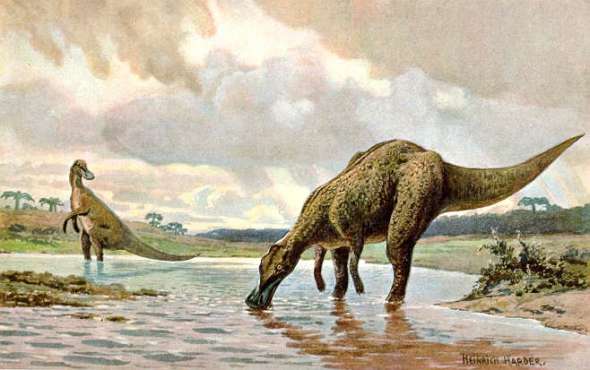 Хадрозавр, что значит &quot;большой ящер&quot;, был первым динозавром, открытым в США в 1858 году
