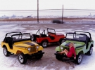 Jeep CJ
69 лет, С 1944 года (с 1987 - в виде Wrangler).

 