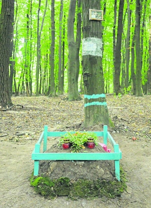 Найсвіжіша могила на цвинтарі домашніх тварин у Львові — кішки Мурзі. Її поховали два місяці тому. На фото, приклеєному скотчем до дерева, написано, що кішка прожила у родині 14 років. На могилці є свіжі квіти та лампадки