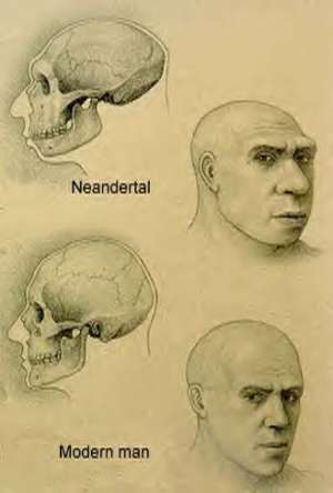 Неандерталець і сучасна людина