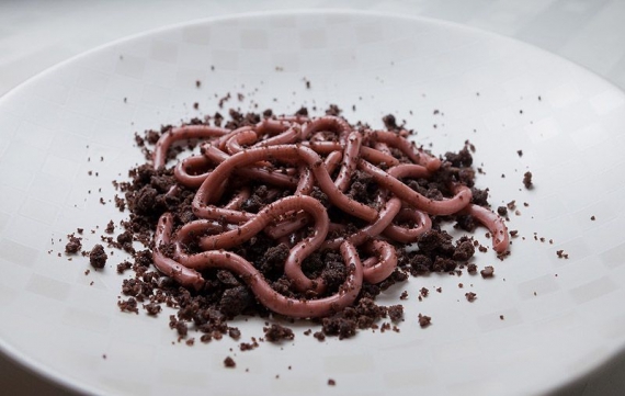 Малиновый мармелад в форме червей с шоколадной крошкой (в виде земли).