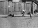 Жертви голоду. Харків, 1933 р.