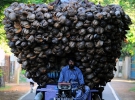 Фермеры везут кокосы на Шри-Ланке. Джафна, 18 ноября 2013.