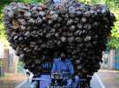 Фермери везуть кокоси на Шрі-Ланці. Джафна, 18 листопада 2013.