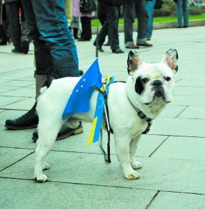 24 листопада на майдані Незалежності гуляв собака породи мопс, на якого причепили прапор Євросоюзу. В цей день на вулиці Києва вийшли понад 100 тисяч людей з вимогою до президента Віктора Януковича підписати Угоду про асоціацію