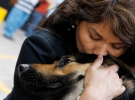 Слепая юристка по имени Джейн Косар обнимает свою собаку-поводыря в Лиме. Женщина борется за право слепых заходить с собаками-поводырями в магазины, банки, общественный транспорт и другие места, куда вход с животными обычно воспрещен.