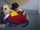 Маленька пацієнтка грає зі спеціально навченим собакою в дитячій лікарні в Сан-Паулу.