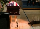 Собака загиблого військового лежить біля його труни на похоронах в Рокфорді, штат Айова. 19 серпня 2011 року