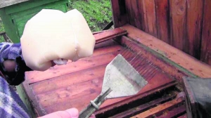 Мед накладають у годівниці і розмазують жорсткою щіткою