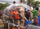 Празднование тайского Нового года. Слонов необходимо обязательно облить водой. Таиланд, 9 апреля 2014.