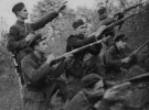 Борьба УПА против немецких захватчиков