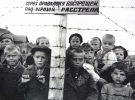 Радянські діти-в'язні 6-го фінського концтабору в Петрозаводську