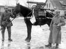 Німецькі солдати демонструють коня із закріпленим на ньому кулеметом «Максим»