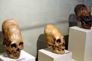 На данном фото не найденные черепа (их фотографий нигде не опубликовано), а похожие вытянутые черепа с выставки в музее Перу