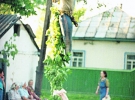 Опудало, що вивішують на Трійцю, в селі Гоголів Броварського району на Київщині, 2002 рік