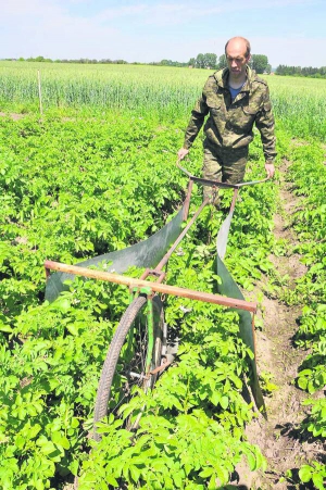 Іван Купервас очищує кущі картоплі власним жуколовом. Відмовився від хімічної обробки рослин проти шкідників