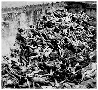 жертвы Освенцима
