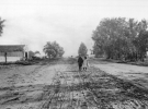 Две маленькие девочки гуляют по бульвару Сансет, 1907 год