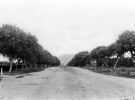 Вид Бульвара Сансет в1905 году