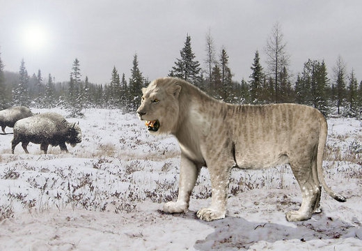 Реконструкция изображения пещерного льва авторов научно-популярного сериала Би-би-си "Прогулки с чудовищами"