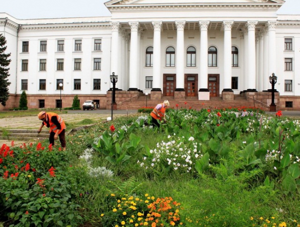 Уборка газонов